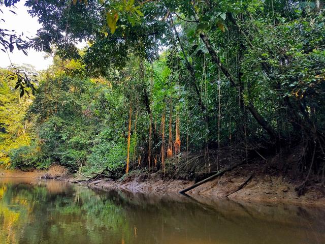 Cuyabeno Wildlife Reserve